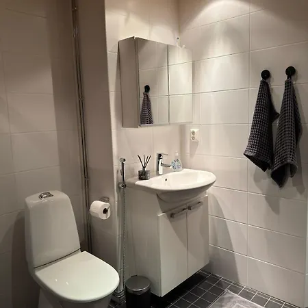 A Three-room With A Sauna And Very Close To The Center Apartment *